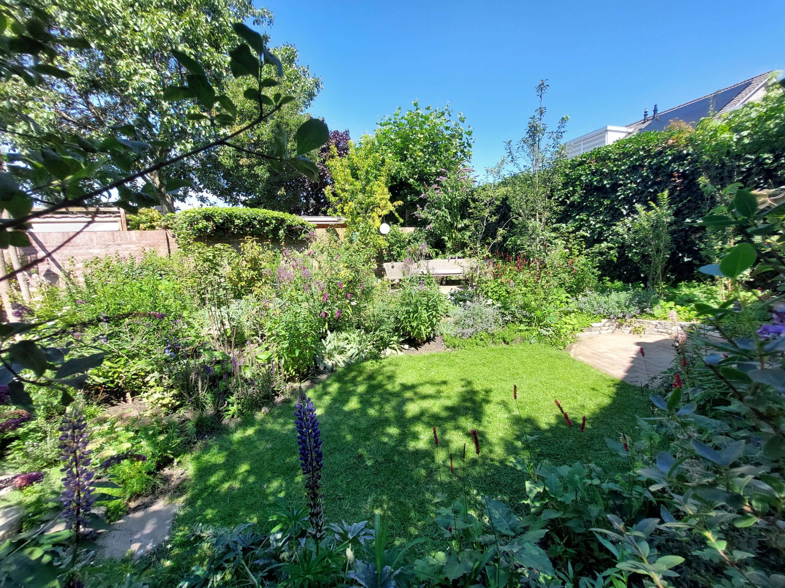 20230810_142037 Eco hovenier voor ontwerp en onderhoud van natuurlijke tuinen