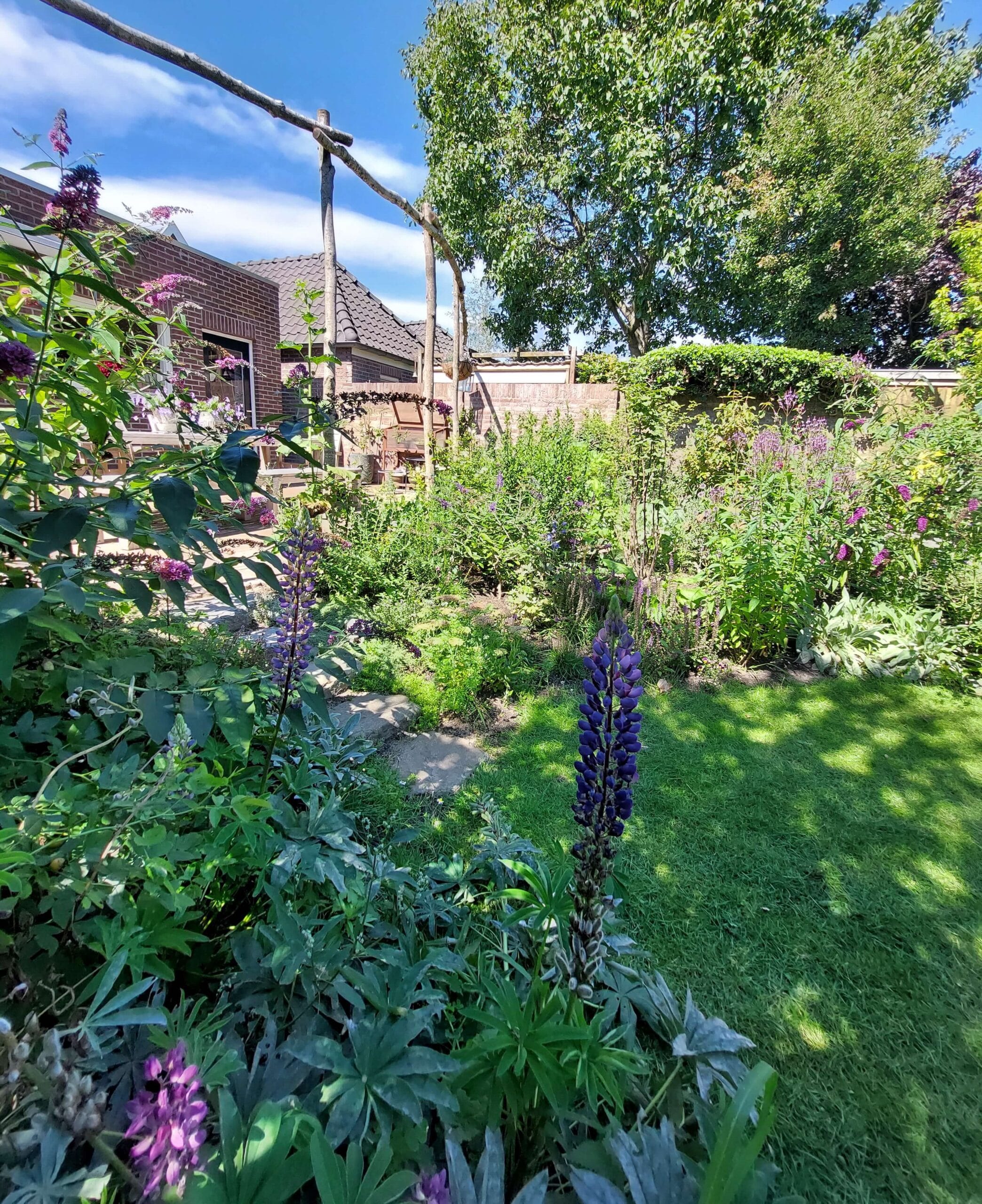 proces van natuurlijke tuinaanleg